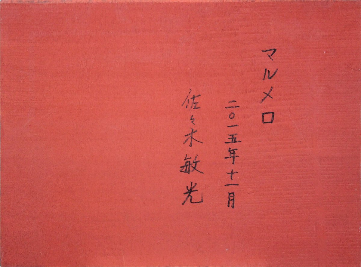  Sasaki . свет [ maru mero] акрил . картина - Hokkaido ..