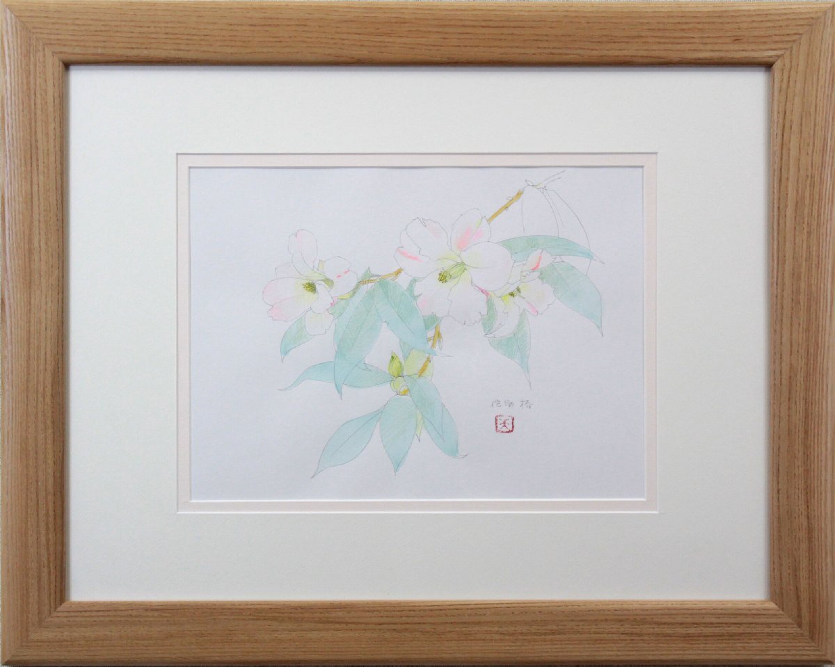 浅野天鐘 「侘助椿」 木版画 絵画 - 北海道画廊