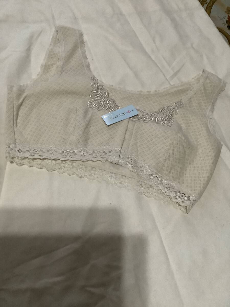 ブラジャー　前空き　レース　刺繍付き　☆新品☆ サイズ　L バスト８９?９4 ベージュ色系?、? />
                                    </span> 
                                </div>

								<div   id=