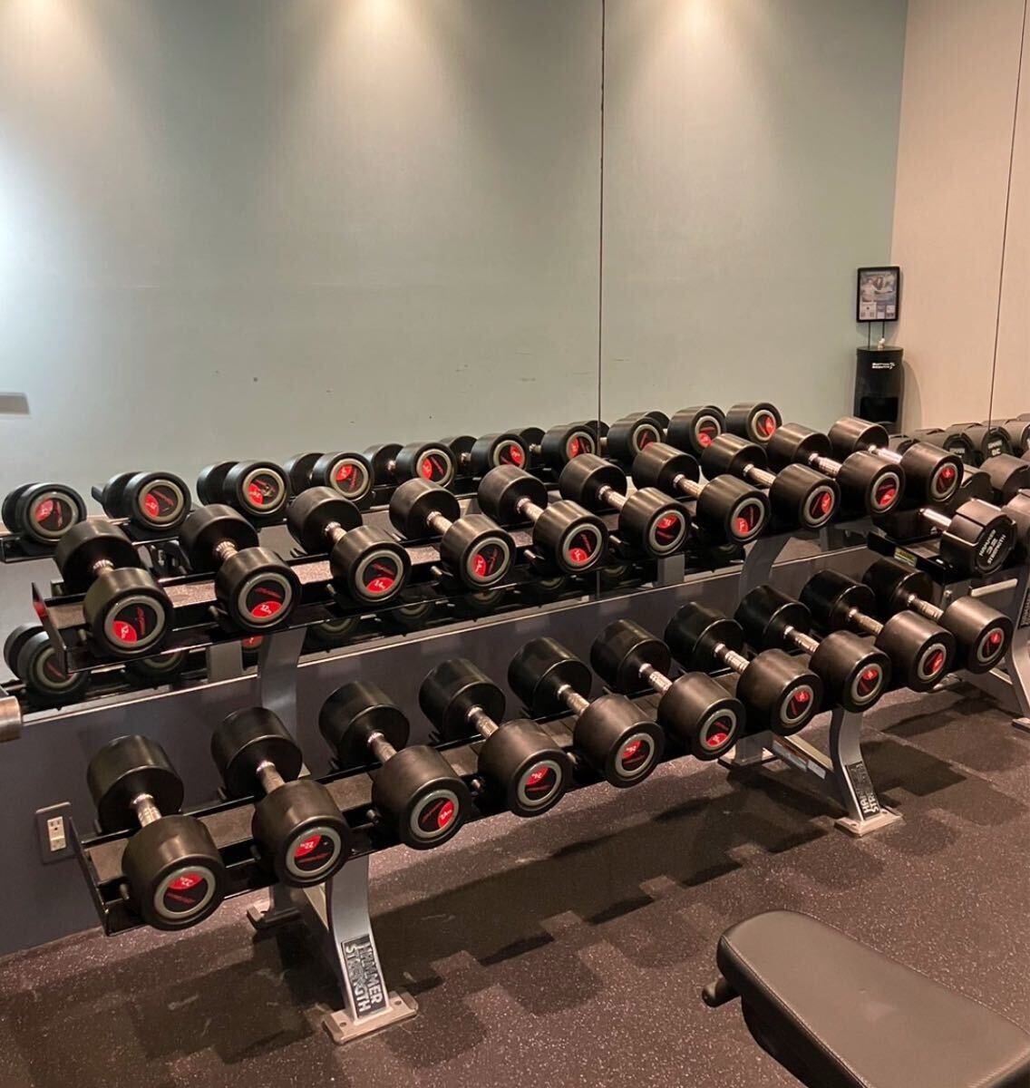 Life fitness ライフフィットネス　12kg〜30kgダンベルセット(ラック付)