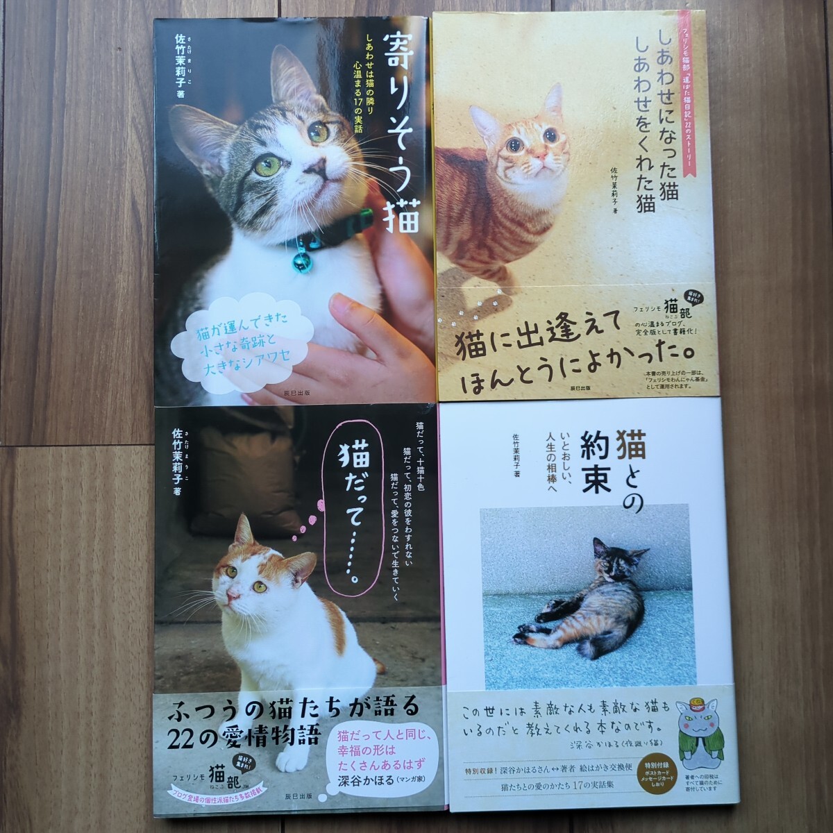 佐竹茉莉子さんの猫関連本　４冊セット