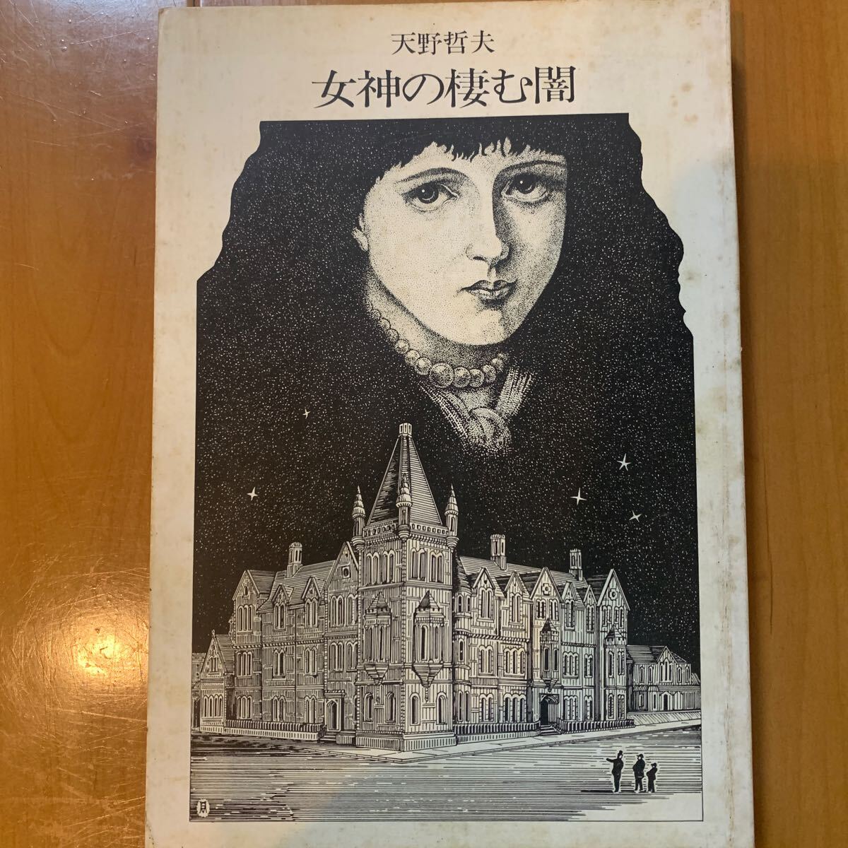 女神の棲む闇　天野哲夫/著_画像1