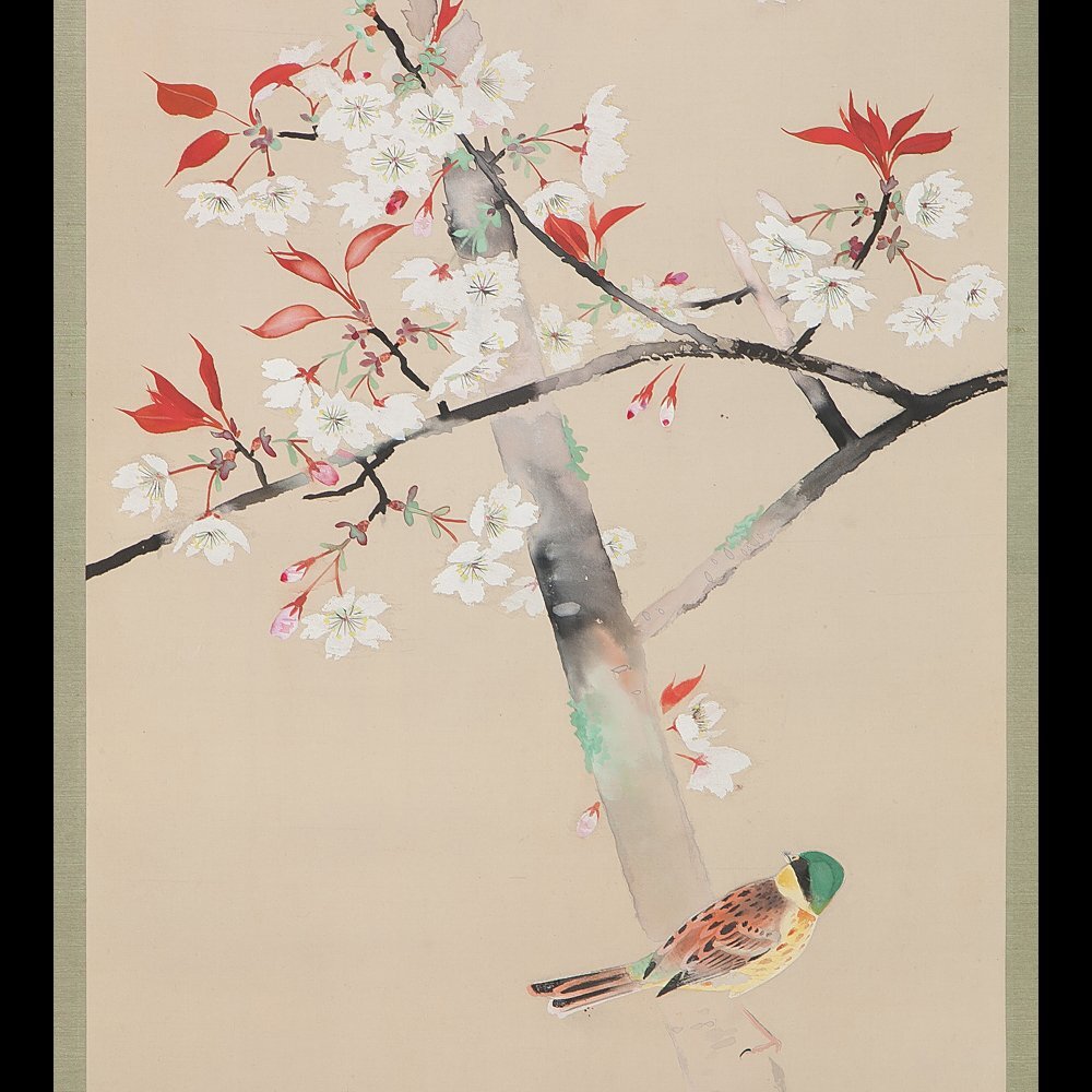 五】南風 『桜に小禽図』 絹本 彩色 掛軸 箱付(花鳥、鳥獣 五】南風 『桜に小禽図』 絹本 彩色 掛軸 箱付(花鳥、鳥獣