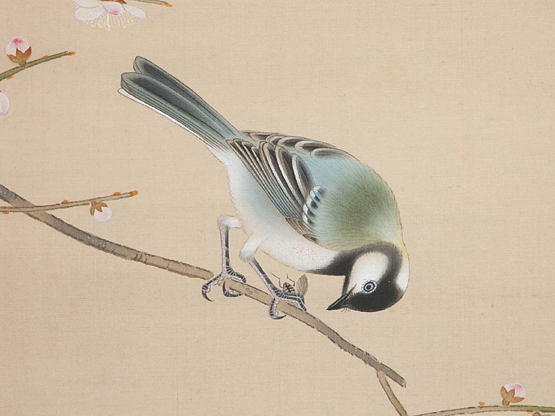 花鳥画 絹本 彩色画 ?中国画 朝顔に小禽図 軸先紫檀 - 絵画 花鳥画 絹本 彩色画 ?中国画 朝顔に小禽図 軸先紫檀 - 絵画