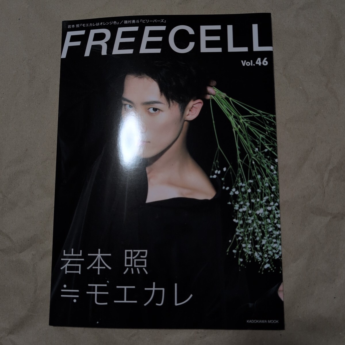 FREECELL vol.46 Snow Man 巖本照