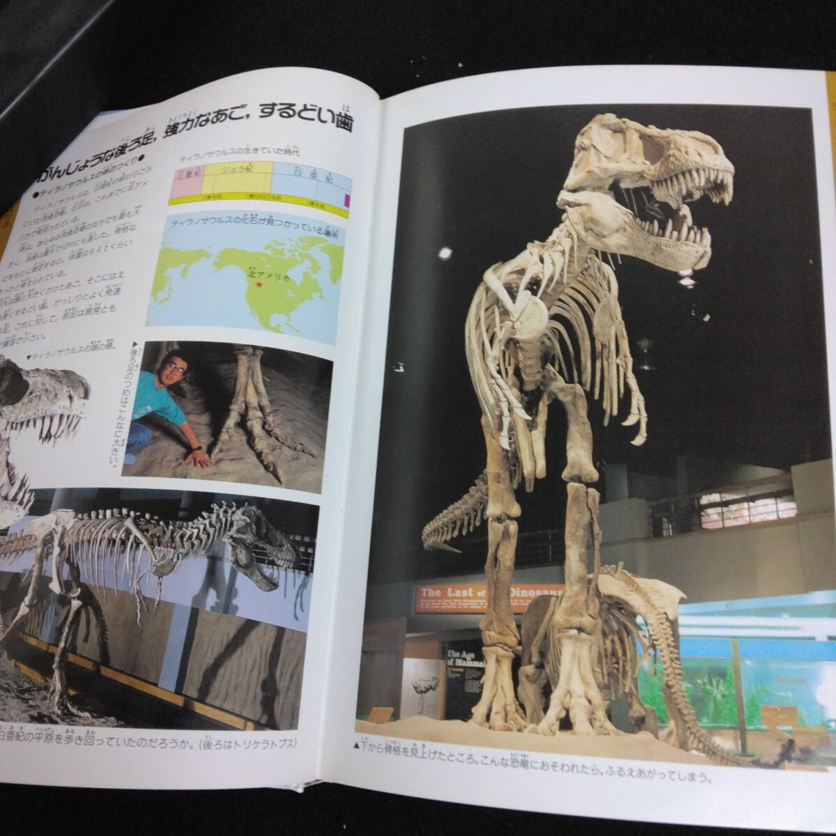 Hb-114/学研の図鑑 恐竜 2006年3月3日第40刷発行