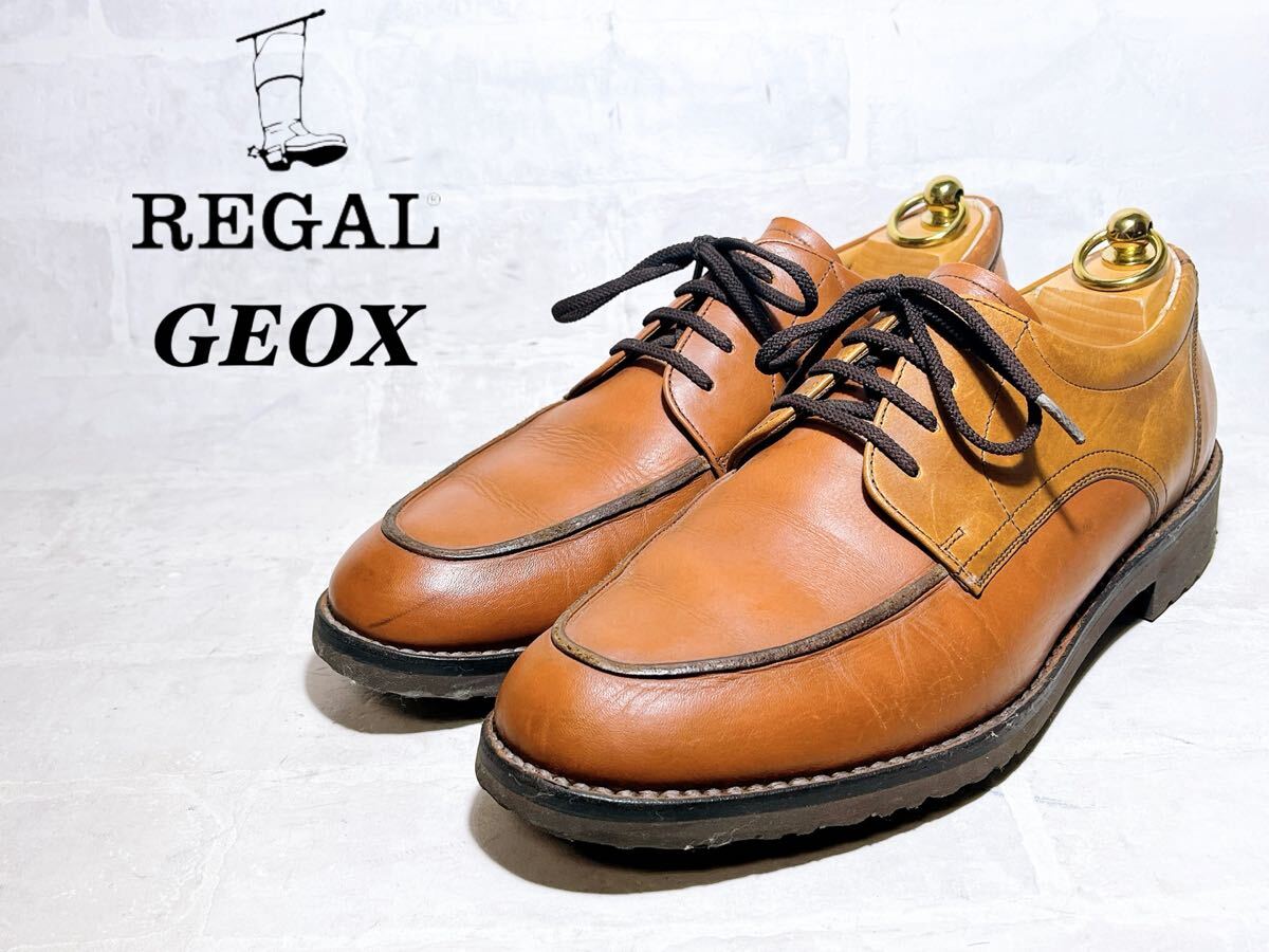 グランディスオオクワガタ アダー ダイナミック ARS10 PSA10相当