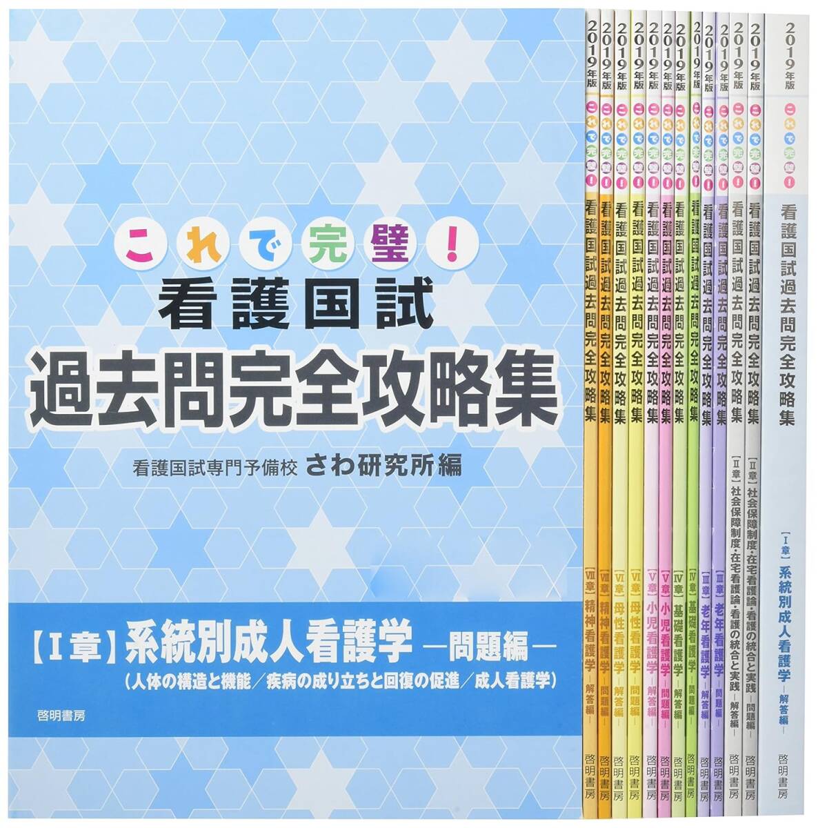 これで完璧!看護国試過去問完全攻略集 2019年版　未開封品