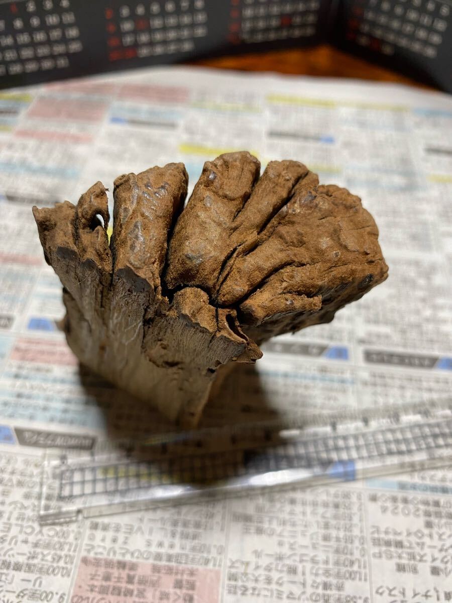 天然沈香樹香木「黄熟香沈香」原木119g 茶道具 六國五味沈香伽羅 天然沈香樹香木「黄熟香沈香」原木119g 茶道具 六國五味沈香伽羅