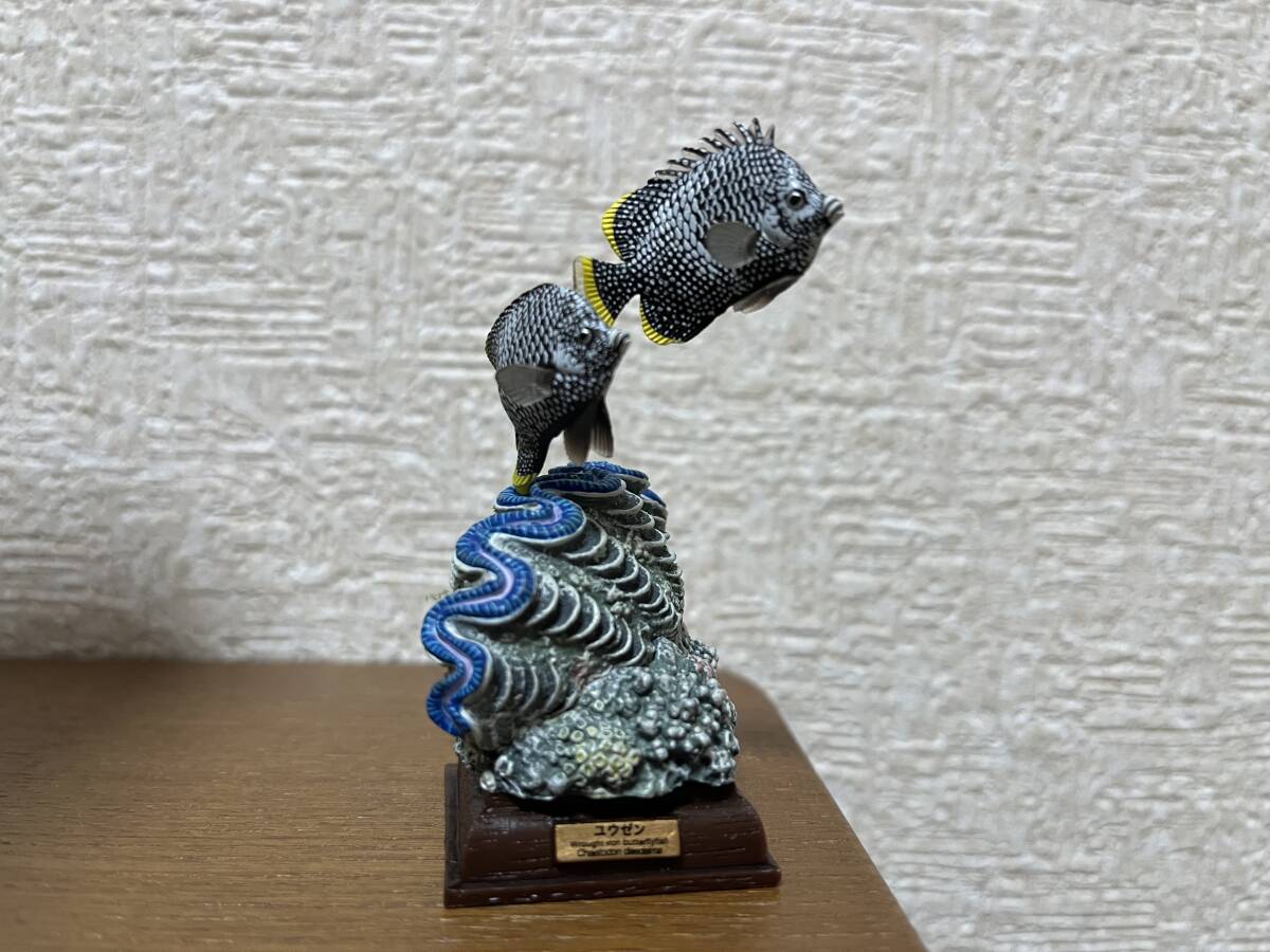 ネイチャーテクニカラー 小笠原 ユウゼン　シラナミガイ　フィギュア シークレット