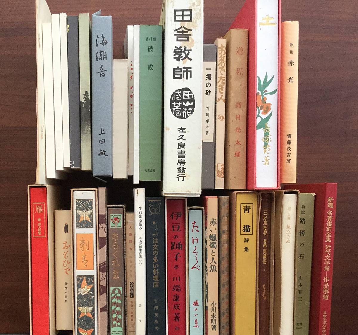 特選 名著復刻全集近代文学館 - 文学・小説