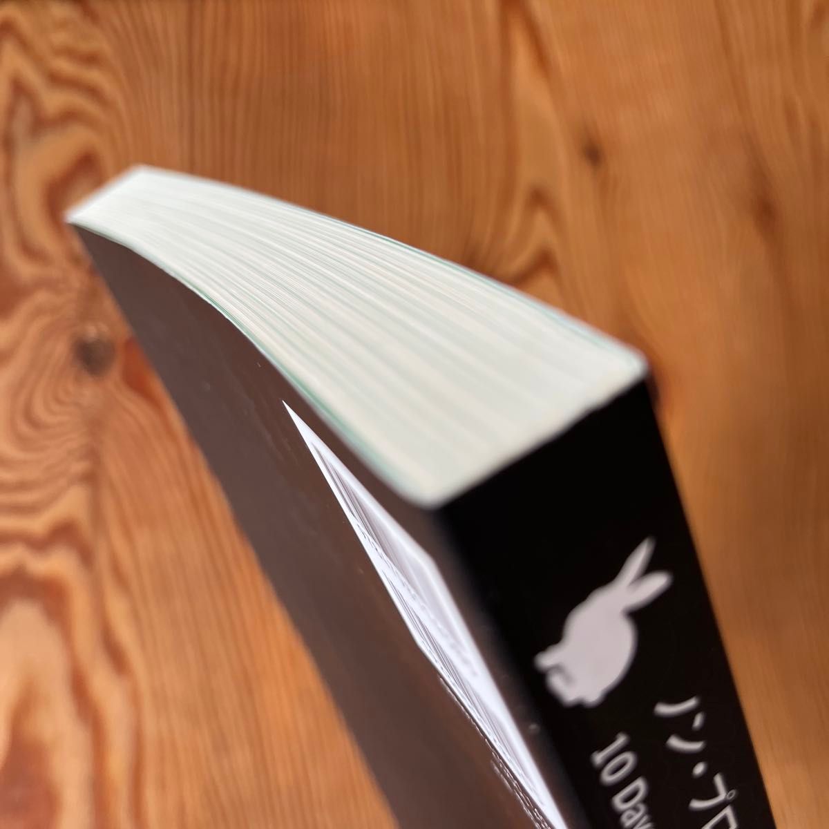 ノン・プログラマのためのＰＨＰ入門１０日間コース （ノン・プログラマのための） 笹亀弘／著　海原才人／著　アシアル株式会社／著