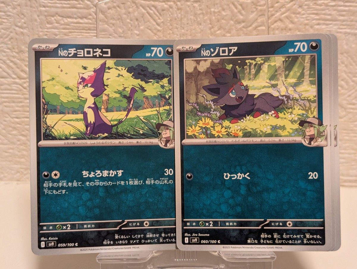 ポケモンカード コレクションファイルセット N パックなし ポケモンカード コレクションファイルセット N パックなし