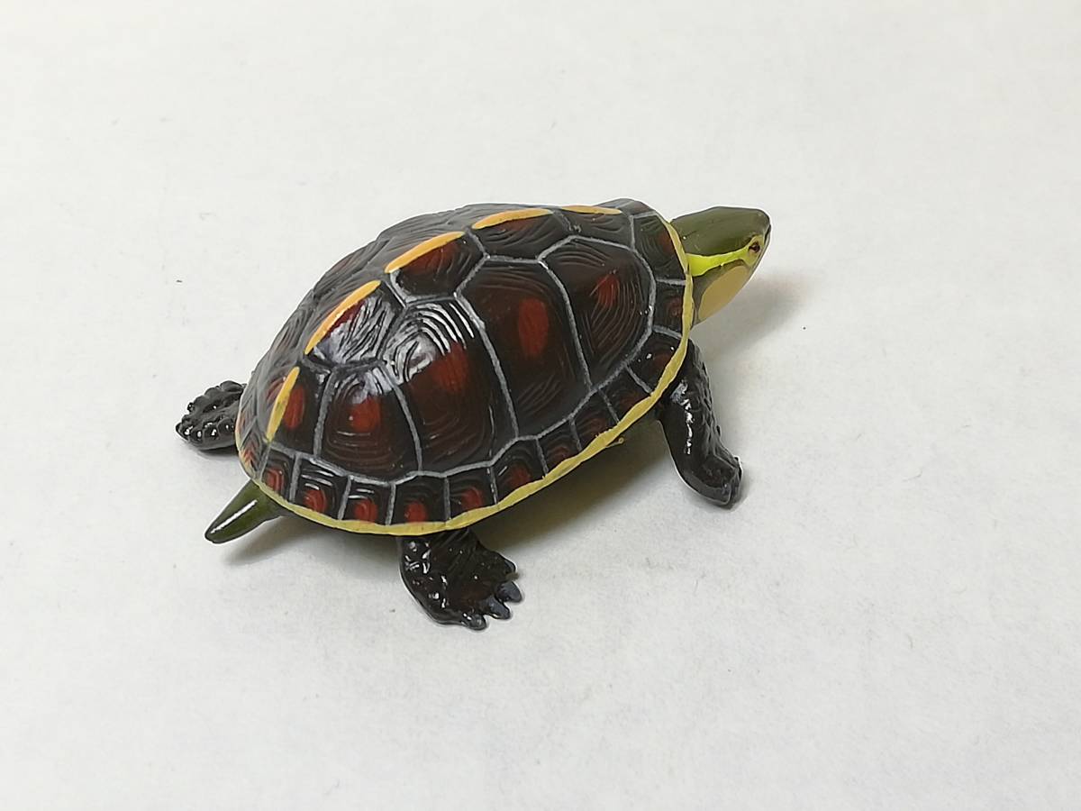ヤフオク ヤエヤマセマルハコガメ フルタ チョコエッグ 日 ヤフオク ヤエヤマセマルハコガメ フルタ チョコエッグ 日