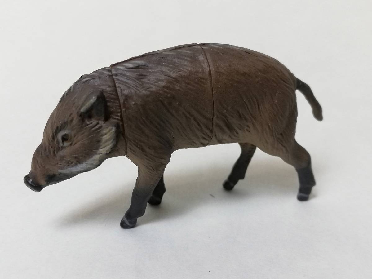 ヤフオク リュウキュウイノシシ タカラ チョコq 日本の動 ヤフオク リュウキュウイノシシ タカラ チョコq 日本の動