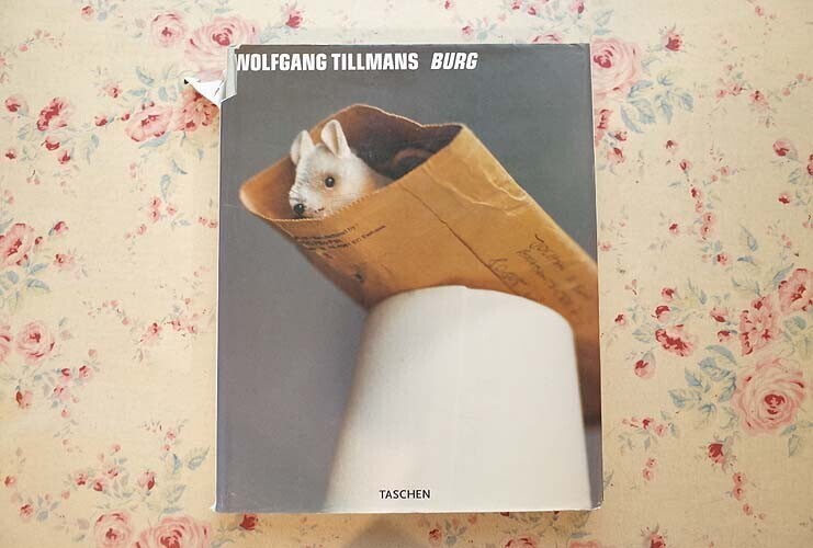 47238/ヴォルフガング・ティルマンス 写真集 Wolfgang Tillmans Burg 1998年 初版 Taschen ドイツ現代美術 人物 ポートレート 風景写真