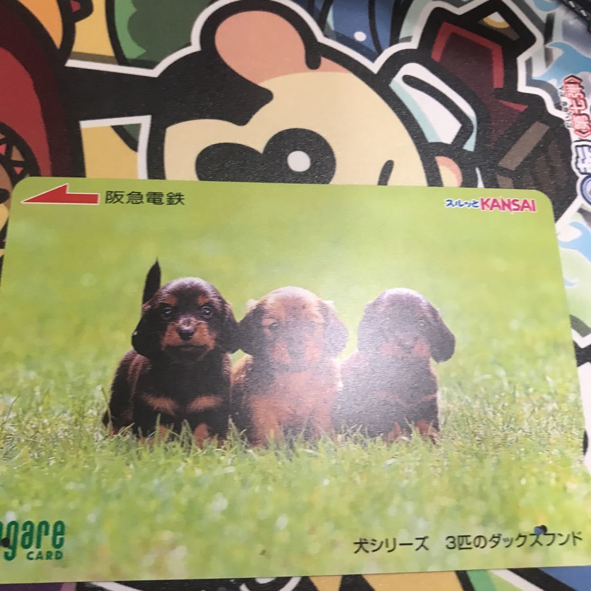 スルッとkansai阪急電鉄犬シリーズダックスフンド3匹_画像1