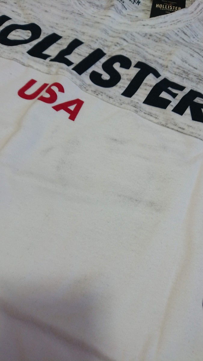 Hollister メンズ 長袖 Tシャツ 袖ロゴ USA