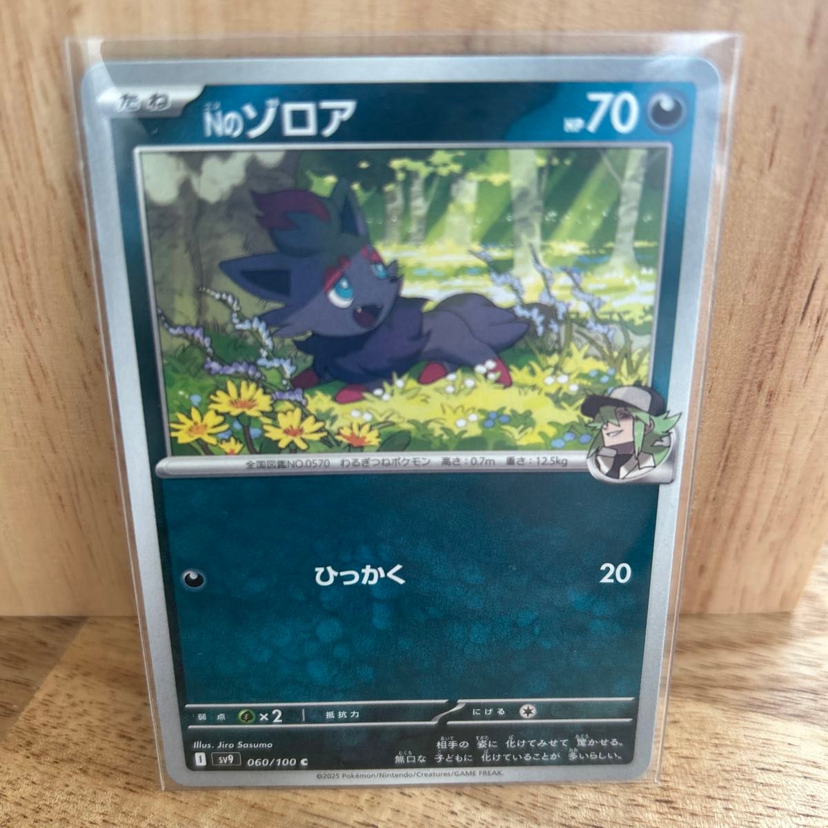 ポケモンカード Nのゾロア|Yahoo!フリマ(旧PayPayフリマ) ポケモンカード Nのゾロア|Yahoo!フリマ(旧PayPayフリマ)