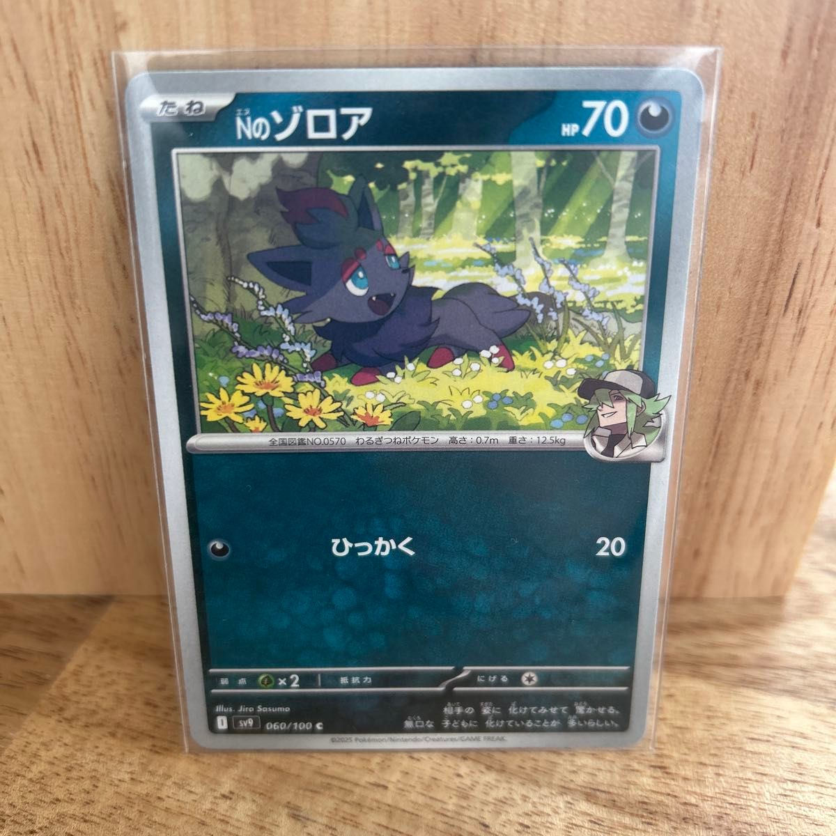 ポケモンカード Nのゾロア|Yahoo!フリマ(旧PayPayフリマ) ポケモンカード Nのゾロア|Yahoo!フリマ(旧PayPayフリマ)