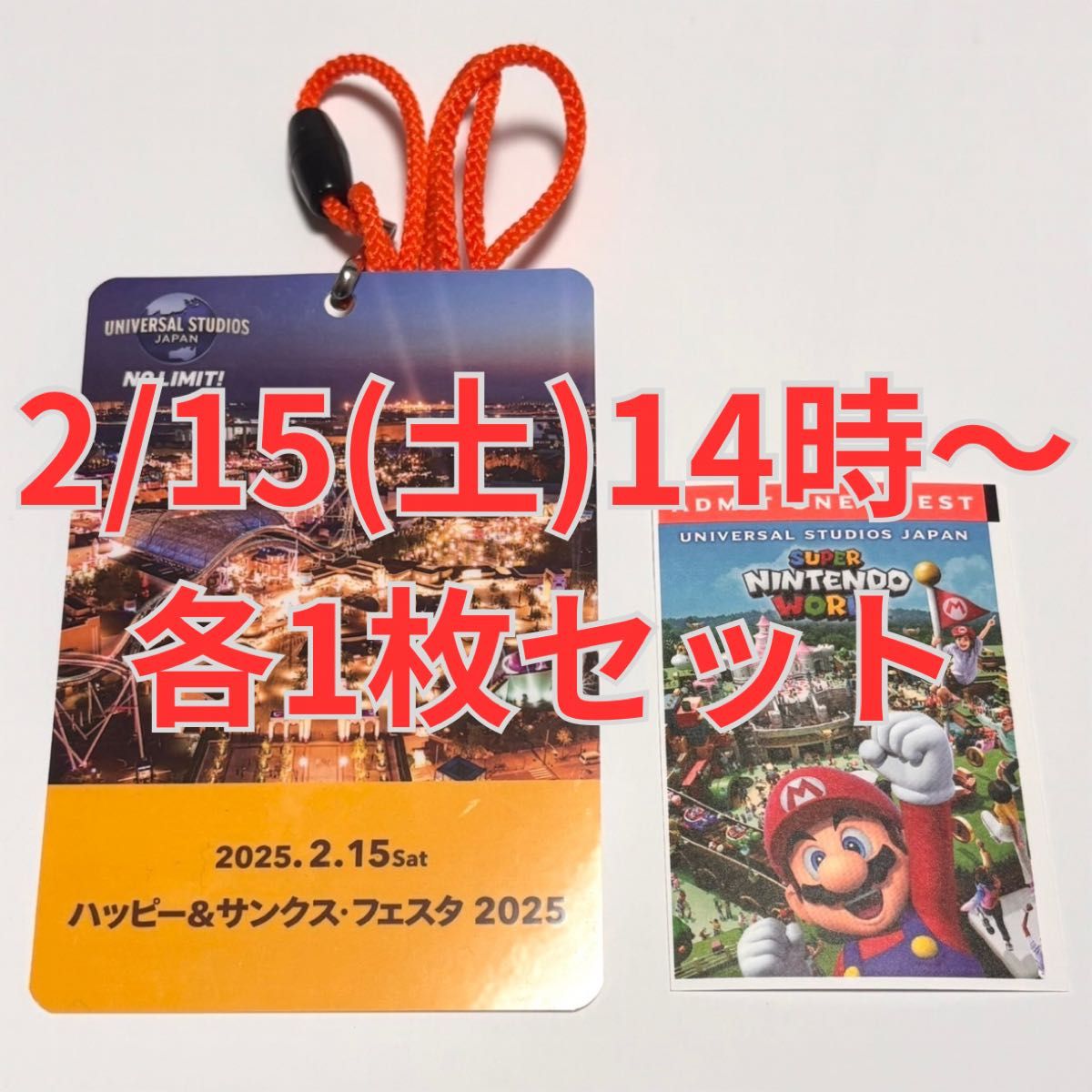 ユニバーサルスタジオジャパン usj 2025年2月15日 貸切ナイト 1 ユニバーサルスタジオジャパン usj 2025年2月15日 貸切ナイト 1