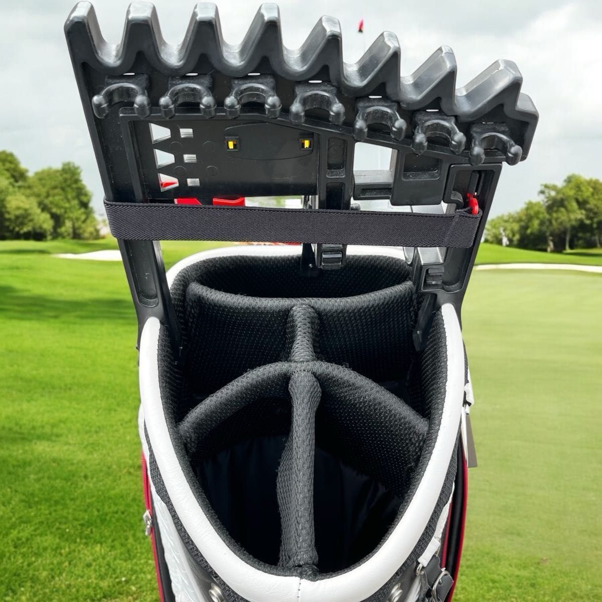 タイトリストキャディバッグクロコ型押し Titleist レア 希少品 タイトリストキャディバッグクロコ型押し Titleist レア 希少品