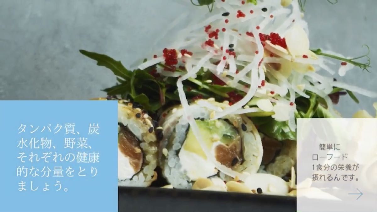 生食ドリーム46 2箱セット(1箱31包)