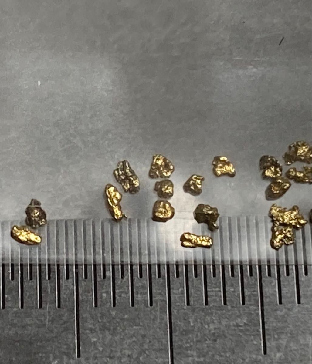 アラスカ産 自然金 砂金 自然金 砂金 1mm前後50粒以上