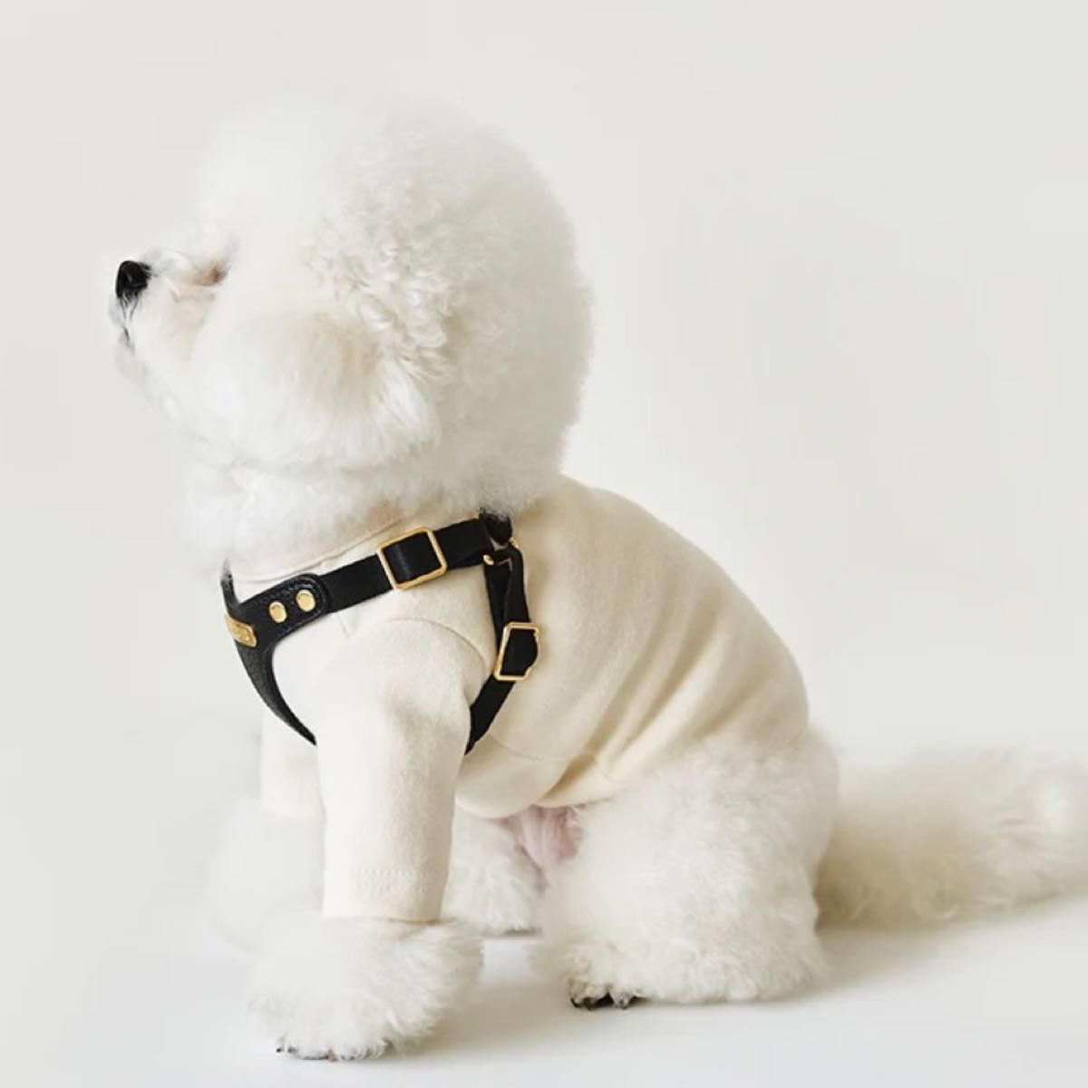 BYBONG DELIGHT HARNESS バックルVER ブラック 犬 ハーネス 小型犬