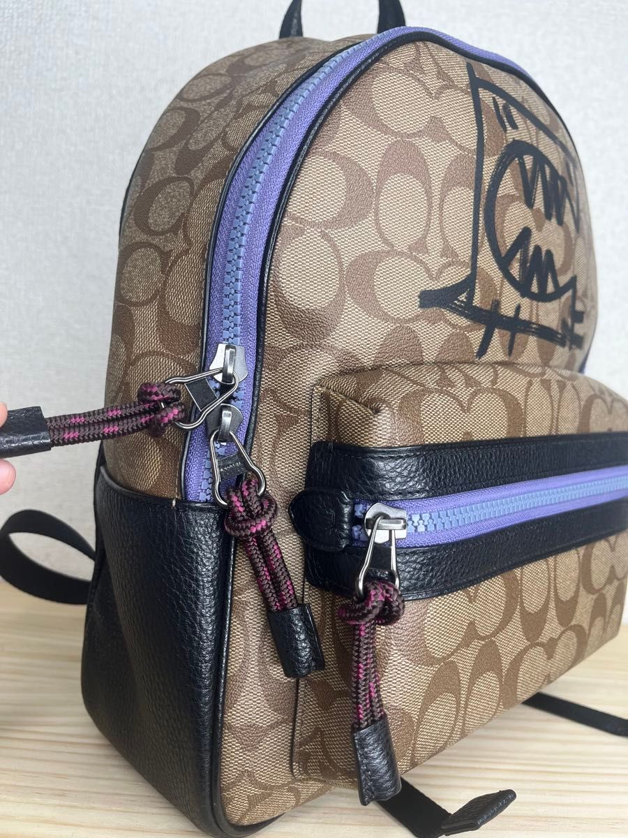 超美品 COACH コーチ リュックサック GUANG YU グワンユー 超美品 COACH コーチ リュックサック GUANG YU グワンユー