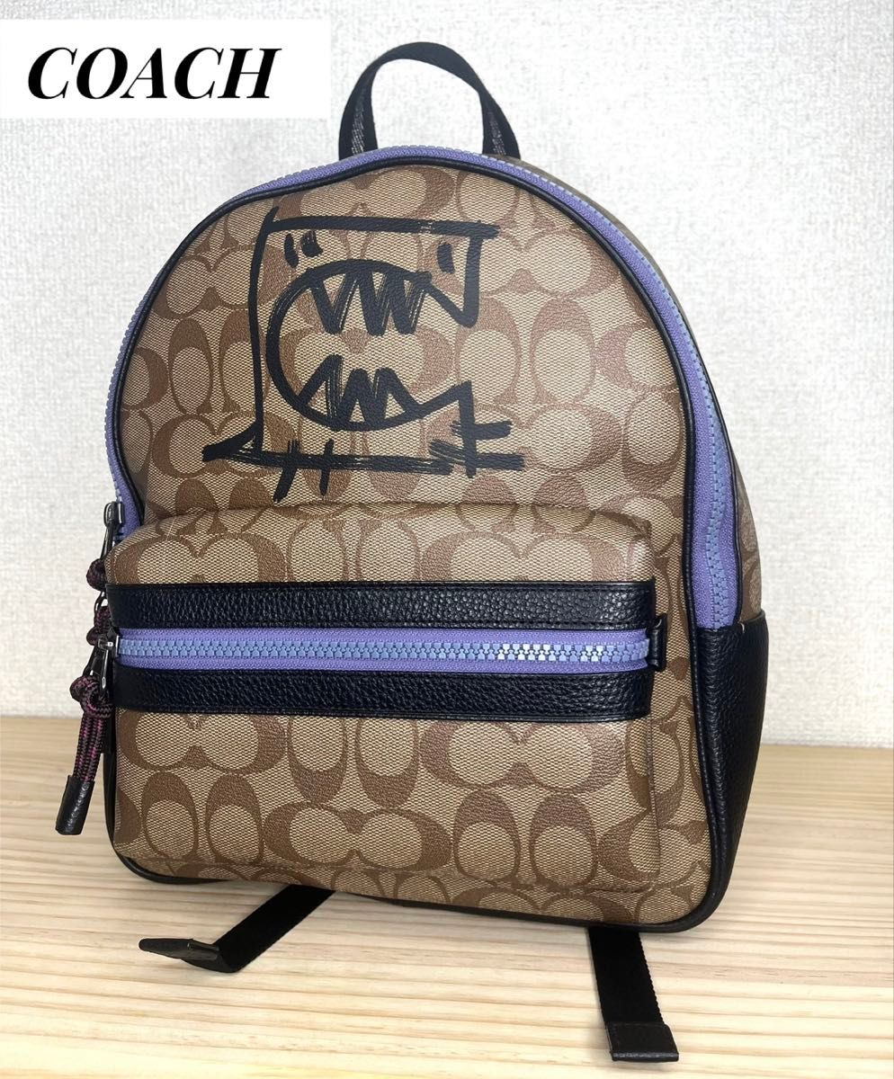 超美品 COACH コーチ リュックサック GUANG YU グワンユー 超美品 COACH コーチ リュックサック GUANG YU グワンユー