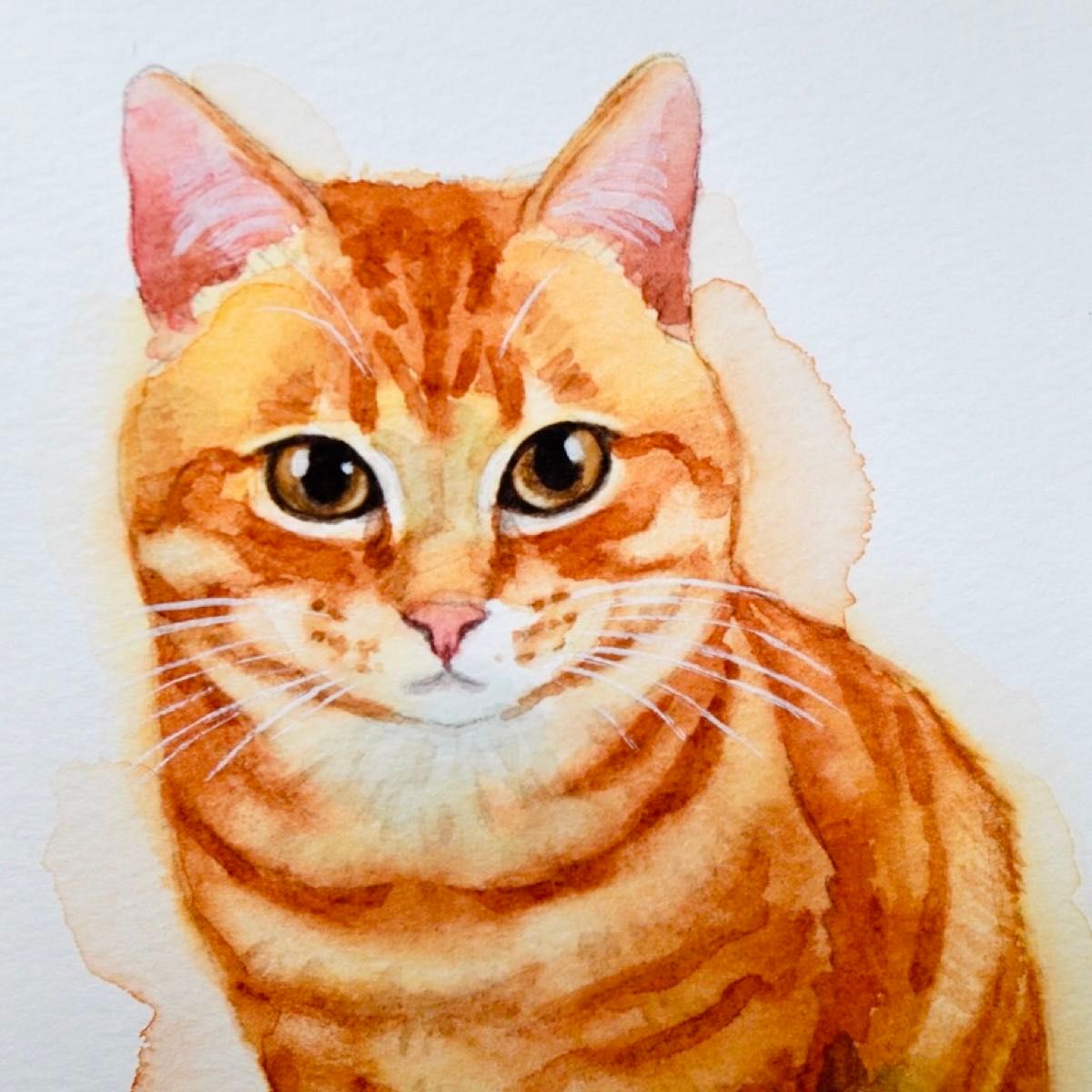 猫の絵 255 水彩画 原画 茶トラ|Yahoo!フリマ(旧PayPayフリマ) 猫の絵 255 水彩画 原画 茶トラ|Yahoo!フリマ(旧PayPayフリマ)