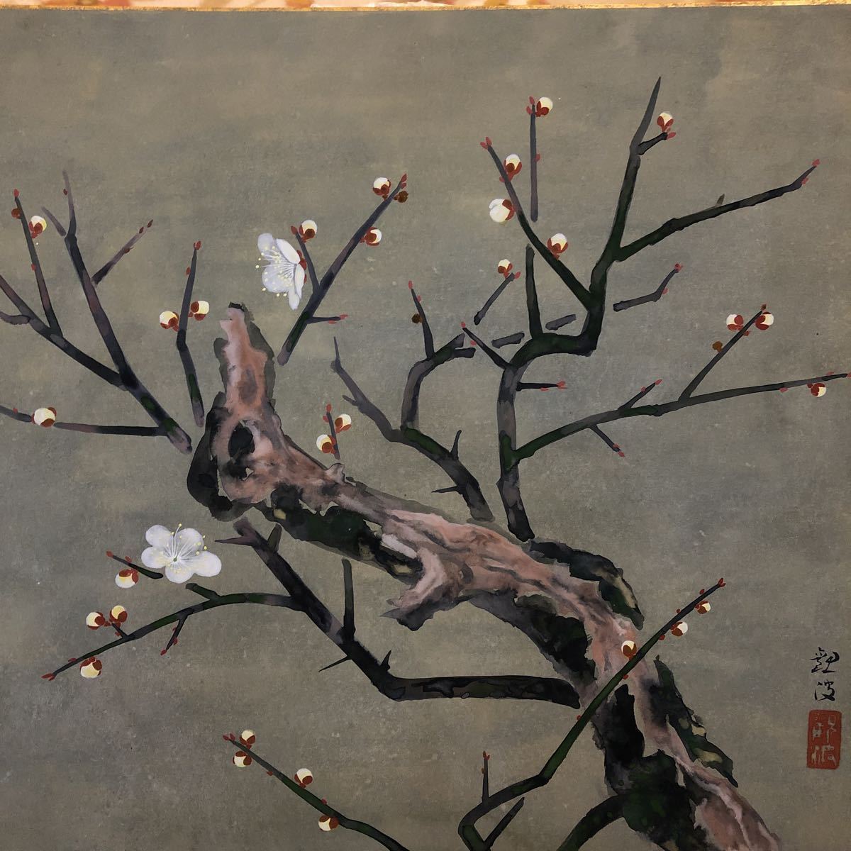 真作◇朝井 観波◇8号サイズ◇白梅◇希少◇45.5×37.5