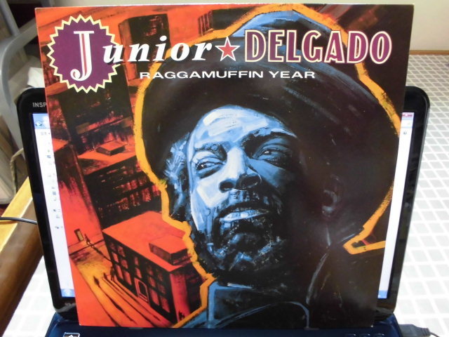 JUNIOR DELGADO LP！RAGGAMUFFIN YEAR, UK MANGO_画像1