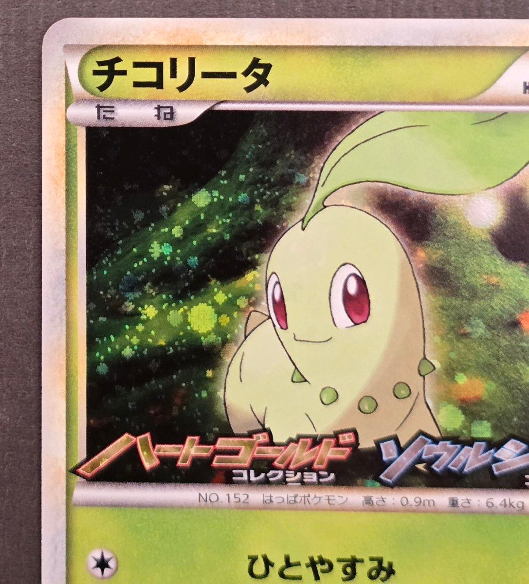 ポケモンカード チコリータ プロモ発売記念カード ポケカ|Yahoo ポケモンカード チコリータ プロモ発売記念カード ポケカ|Yahoo