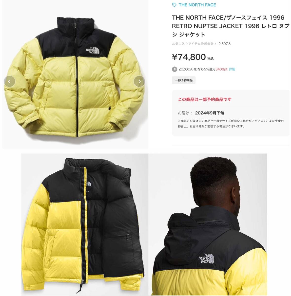 MAX80%OFF/セール開催中 ◇お正月出品◇新品 レトロ 1996 ノースフェイス XLサイズ XLサイズ以上