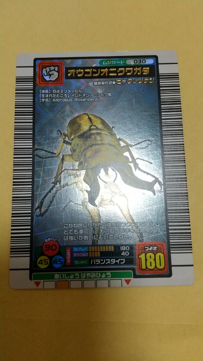 希少 入手困難 2004年ファースト拡張 89種 フルコンプリート 希少 入手困難 2004年ファースト拡張 89種 フルコンプリート
