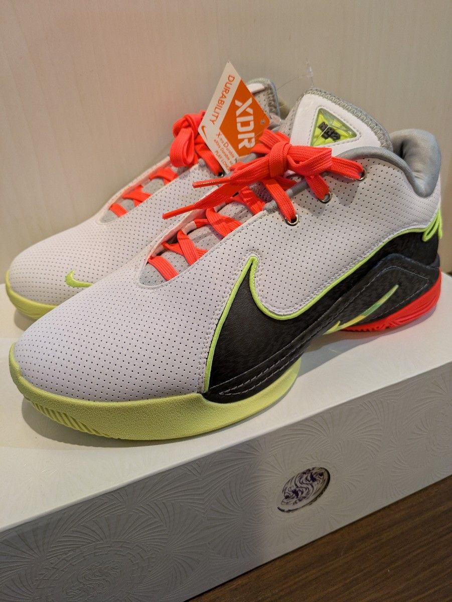 2024年11月発売 未使用 LEBRON XXII EP レブロン22EP 27cm