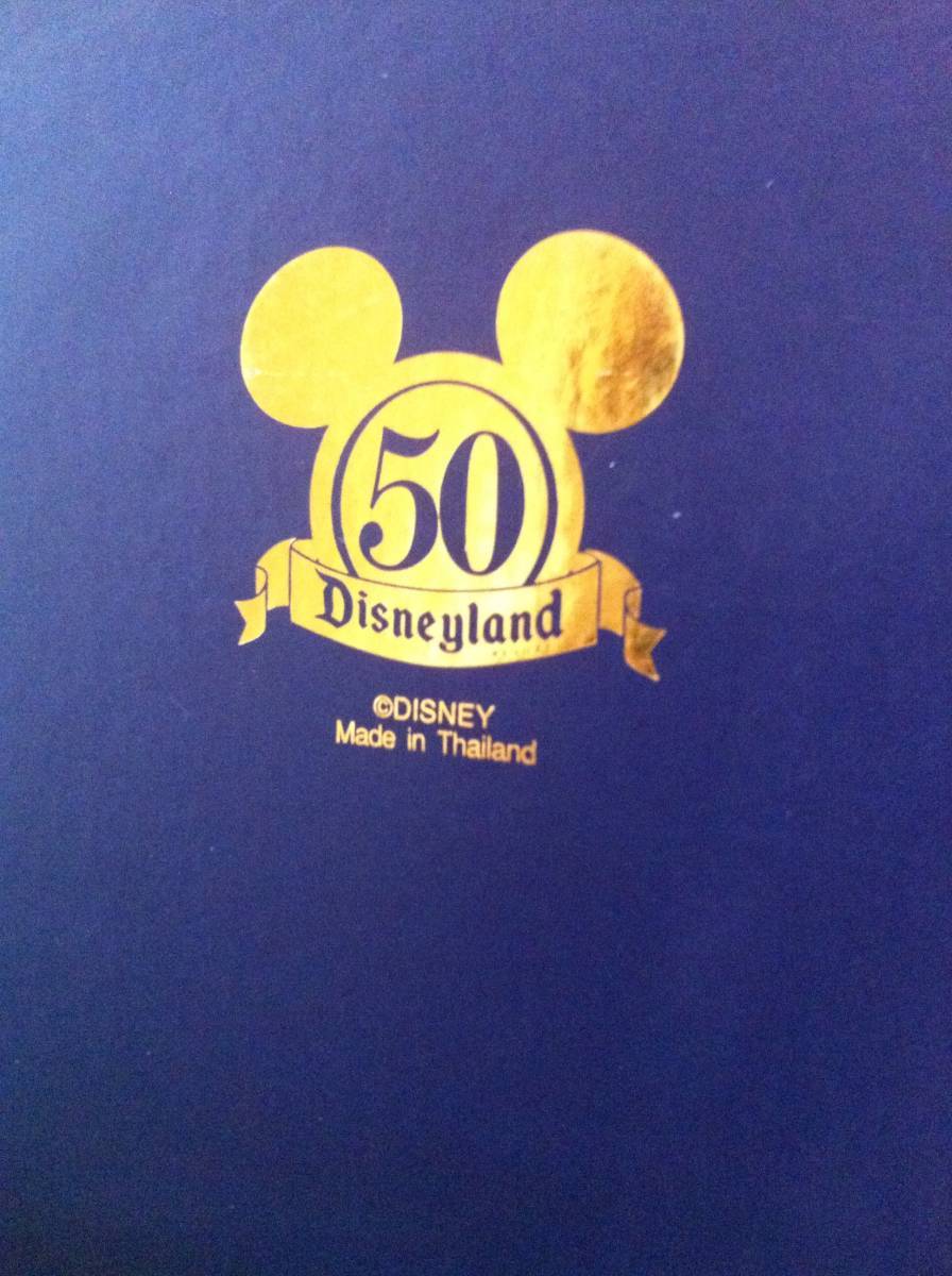 2005 year thing rare hole high m Disney Land 50 anniversary commemoration limitation writing is possible * photo album photograph storage book@ Note 