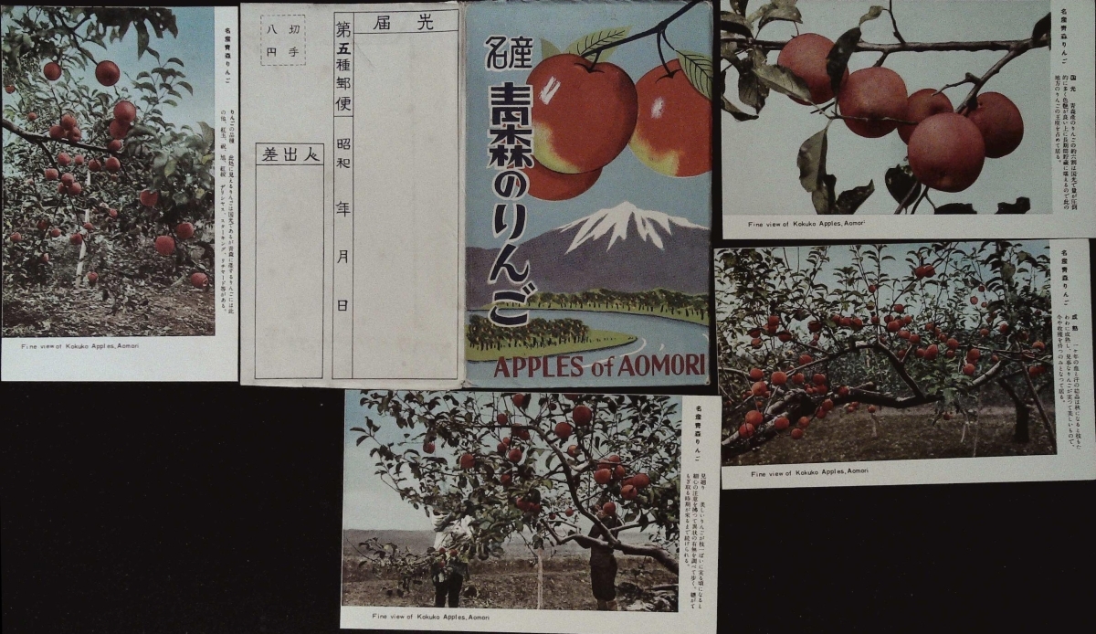 名産 青森のりんご 古い絵葉書8枚とタトウ 切手8円の時代 PC20/01/18-20_画像1