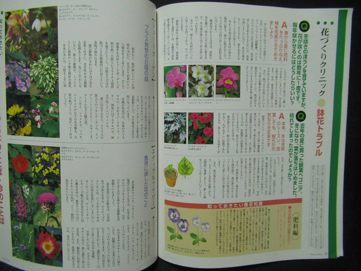 フラワーオアシス　週刊　園芸百科　創刊号２０００年３月初恋草　季節の花　南半球からの新しい花ボロニア　バンクシア　　GG４-００_画像7