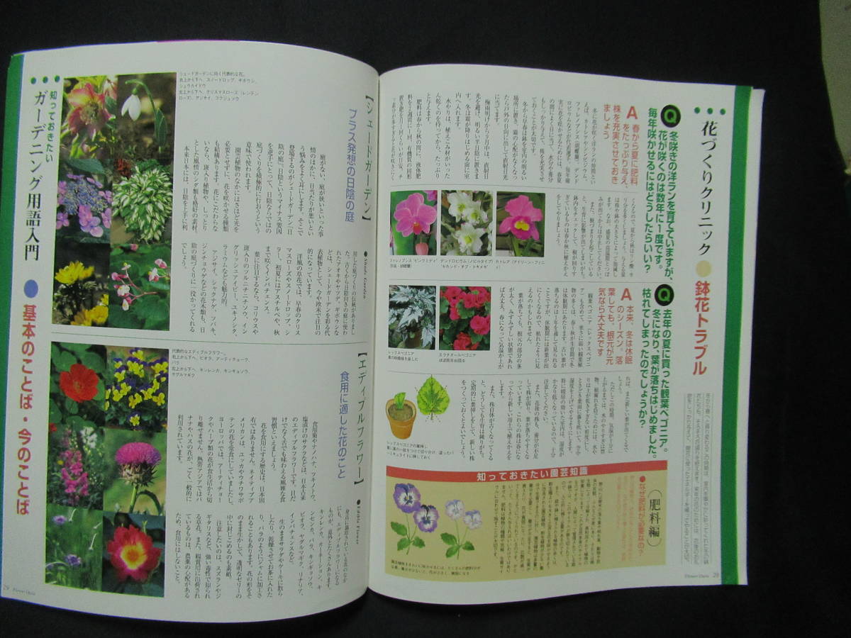 フラワーオアシス　週刊　園芸百科　創刊号２０００年３月初恋草　季節の花　南半球からの新しい花ボロニア　バンクシア　　GG４-００_画像5