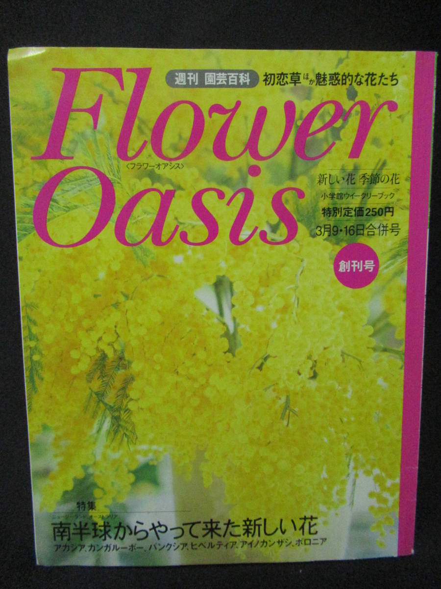 フラワーオアシス　週刊　園芸百科　創刊号２０００年３月初恋草　季節の花　南半球からの新しい花ボロニア　バンクシア　　GG４-００_画像1