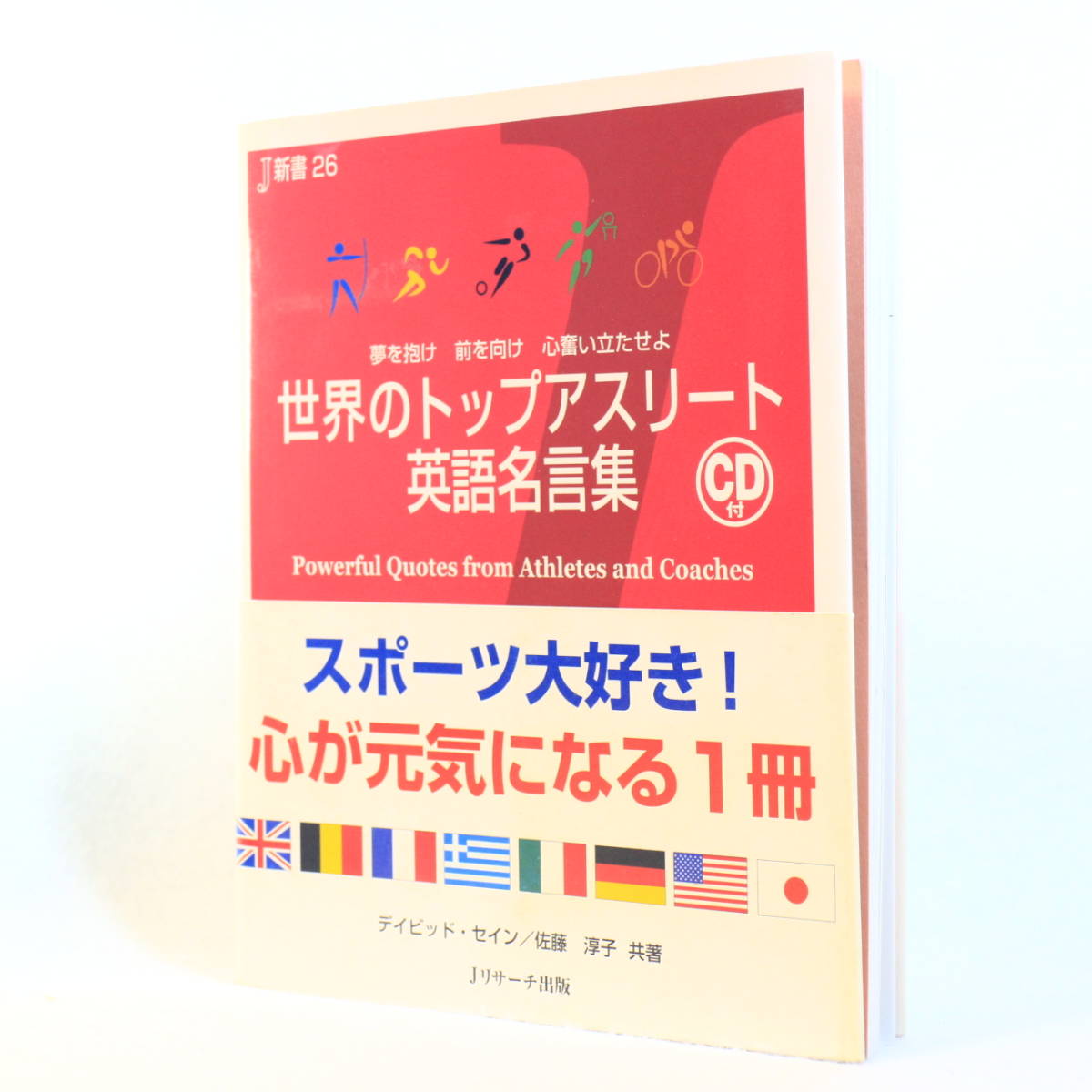 ヤフオク 英語本 デイビッド セイン 佐藤敦子 共著