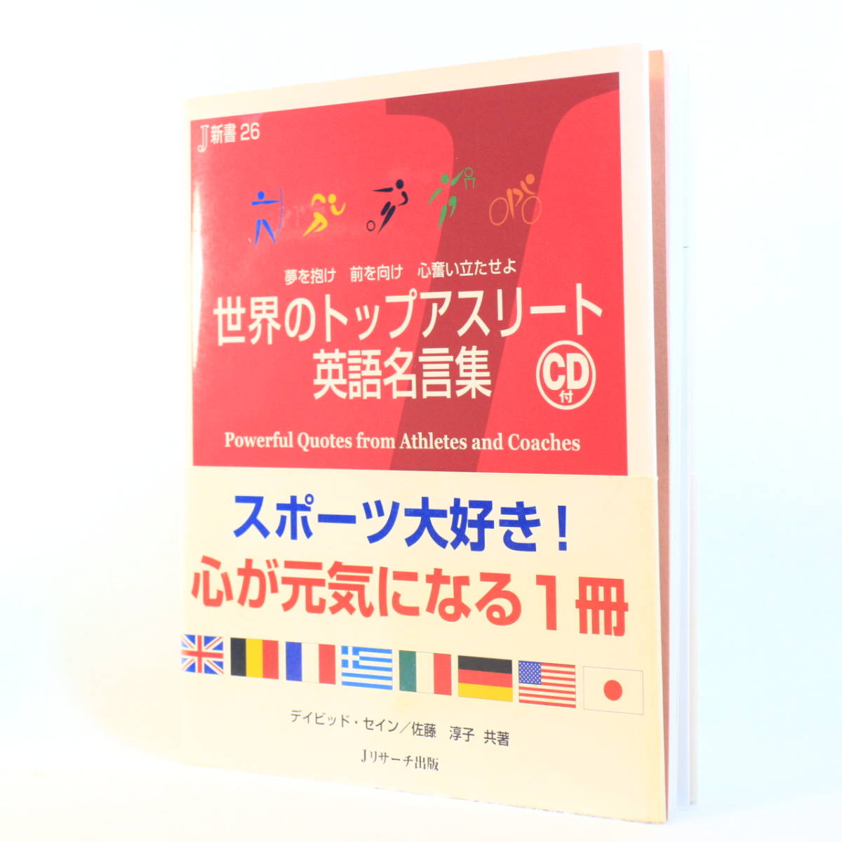 ヤフオク 英語本 デイビッド セイン 佐藤敦子 共著