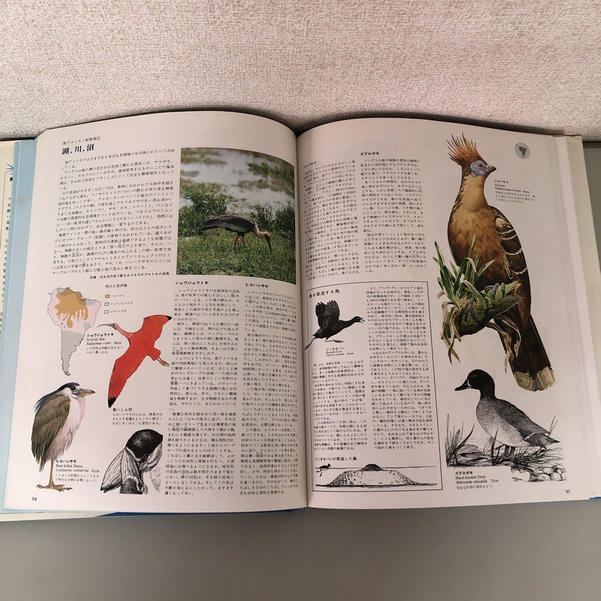 1799円 人気ショップ 送料無料 決定版 生物大図鑑 鳥類 世界文化社