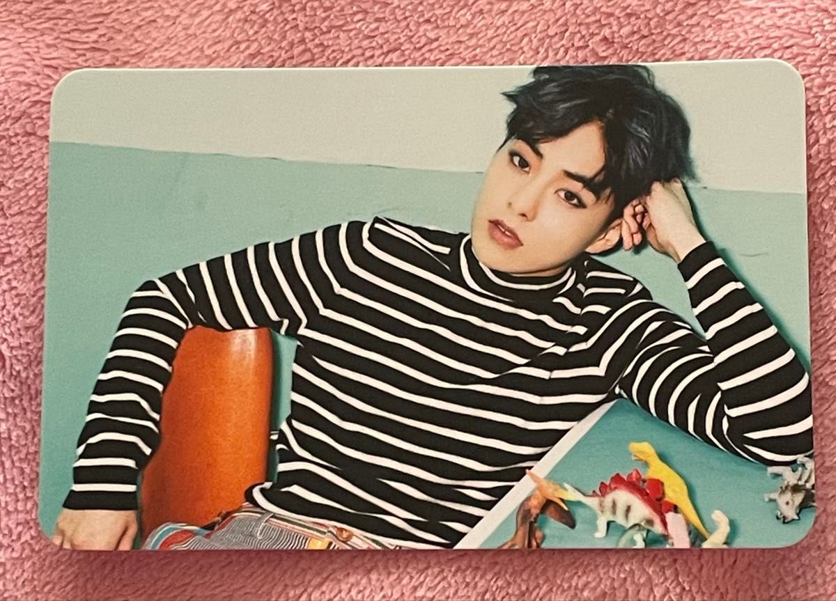 【代引可】 EXO トレカ|アイドル ハデスタウン シウミン K-POP・アジア