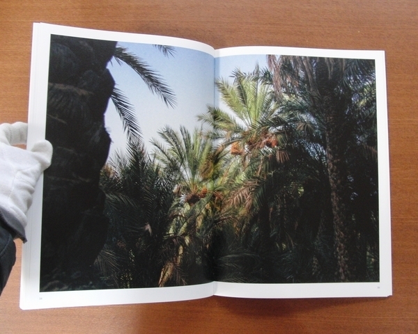 パームヤシ プランテーション 写真集■美術手帖 芸術新潮 農園 植物園 ブルータス IMA The Secret Life of Date Palms Cyril Veillon_画像3