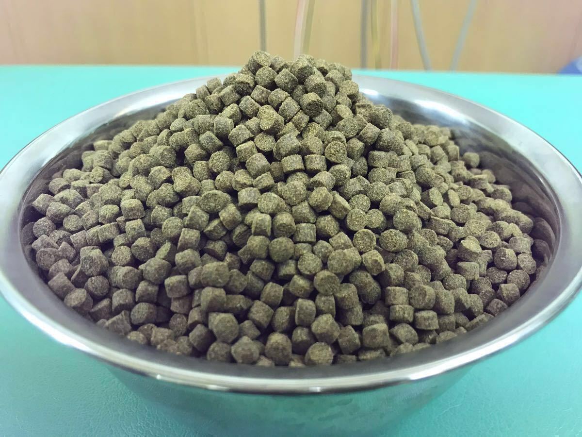 Paypayフリマ 日清丸紅飼料 マダイepメジャー5 8kg おとひめの代用品として 錦鯉 アロワナ ポリプテルス ダトニオ プレコの餌 5 サイズで扱い易い Paypayフリマ 日清丸紅飼料 マダイepメジャー5 8kg おとひめの代用品として 錦鯉 アロワナ ポリプテルス ダトニオ プレコの餌 5 サイズで扱い易い