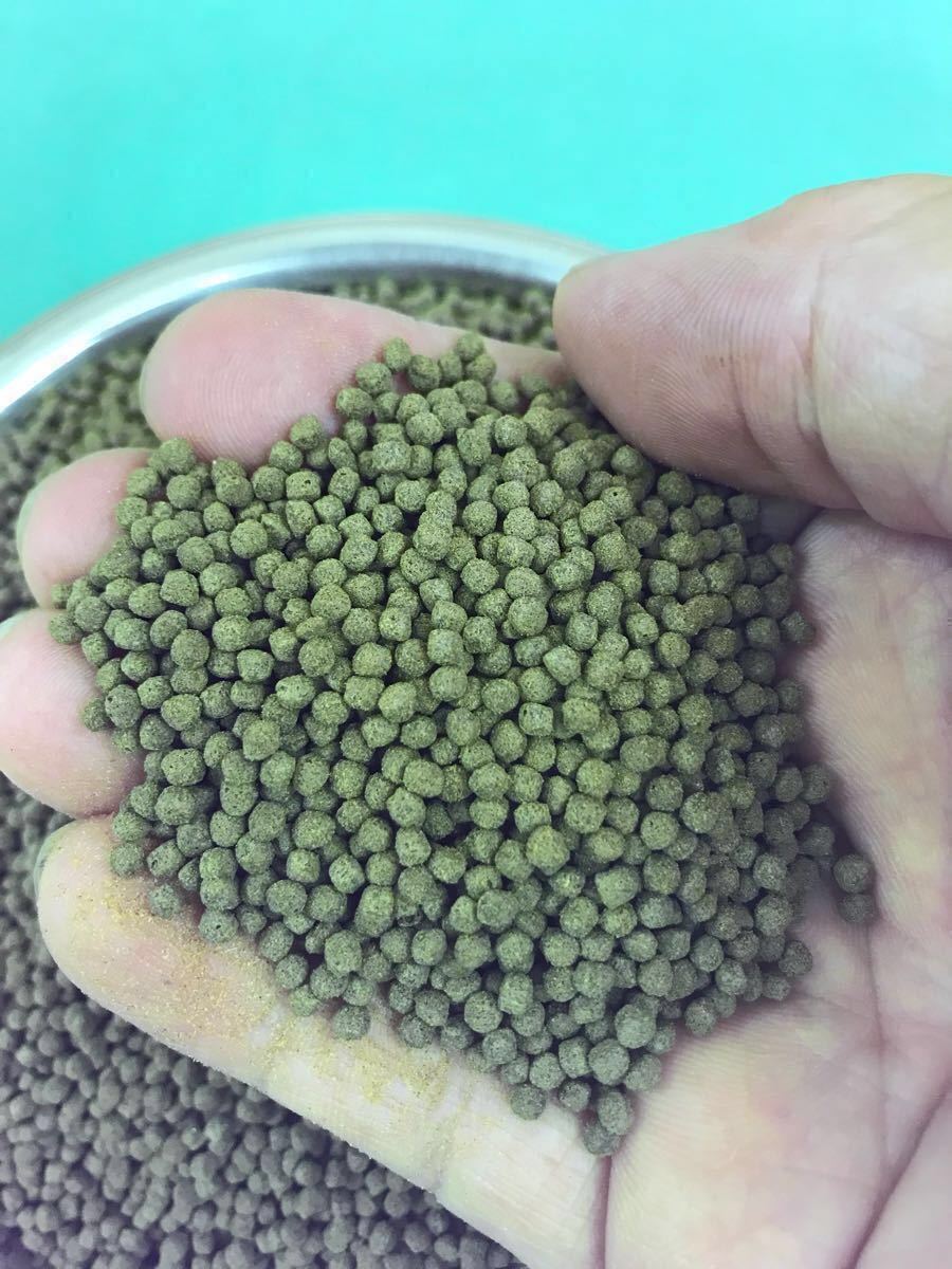 Paypayフリマ 浮餌 ヒラメep F2 4kg入り らんちゅう 土佐金 錦鯉に最適な餌 送料無料 北海道 沖縄も送料無料 ゆうパックにて最速で発送します
